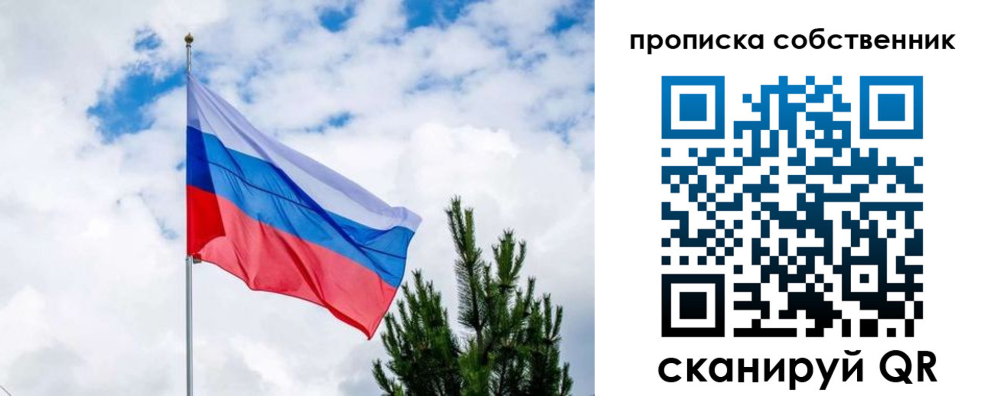 прописка поиск в Новосибирске